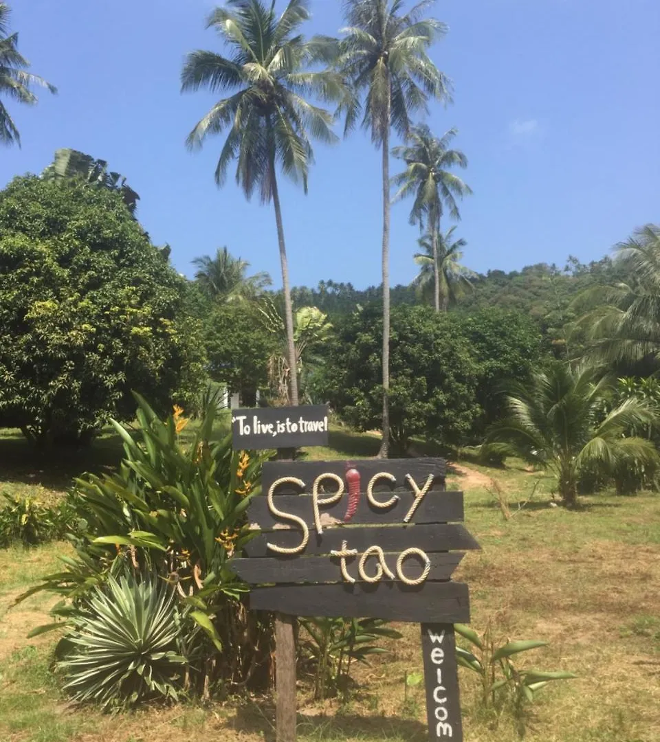 Spicytao Backpackers (Adults Only) Hostel Koh Tao