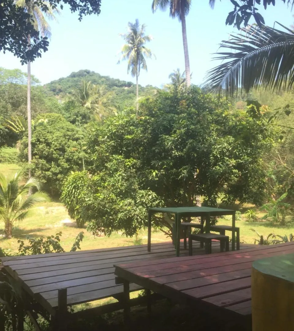 Spicytao Backpackers (Adults Only) Hostel Koh Tao